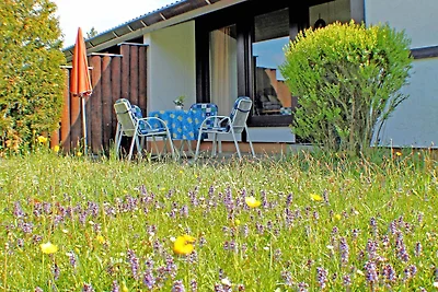 Albergo Cultura ed escursioni Öfingen