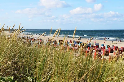 Q11 strandnah max. 4 Pers.