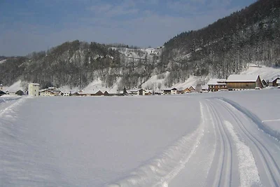 Appartamento Vacanza con famiglia Schnepfau