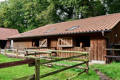 Vakantieappartement Gezinsvakantie Uplengen