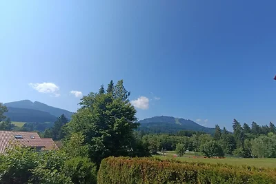 Ferienhaus mit grosser Süd-West-Sonnenterrass...