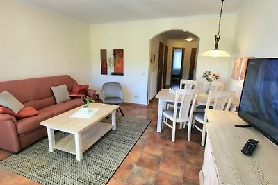 (291) 2- Raum- Appartement-Strandstrasse