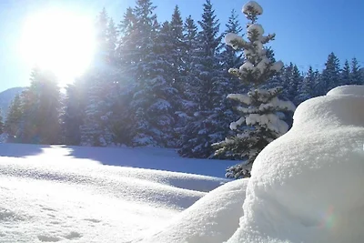 Appartamento Vacanza con famiglia Jungholz