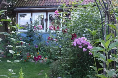 Casa vacanze Vacanza di relax Kirchdorf