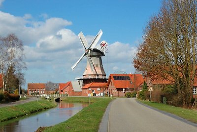 Ferienwohnung in Ostfriesland 60qm, max.