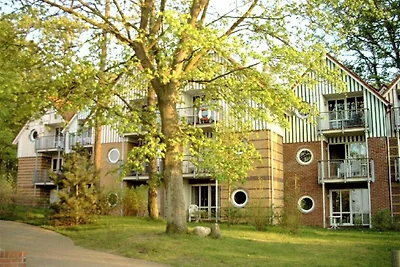 Fewo Seepferdchen 3 Whg. 118