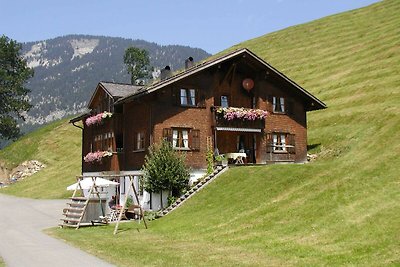 Wohnung Üntschenspitze