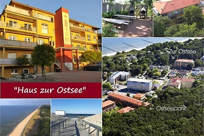 Hotel Cultuur en bezienswaardigheden Zempin