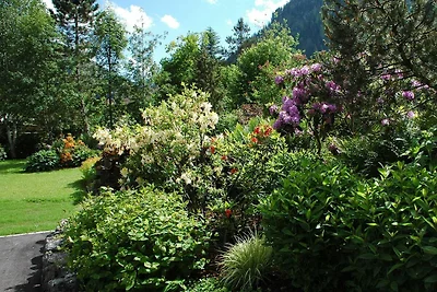 Vakantieappartement Gezinsvakantie Tannheim