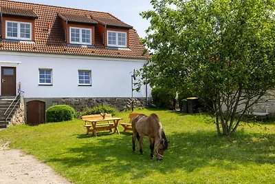 Vakantieappartement Gezinsvakantie Kröpelin