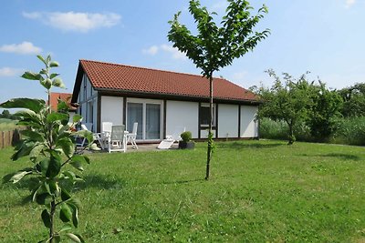 Ferienhaus 323 Kogge 60qm bis 6 Personen mit...