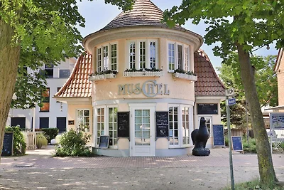 Muschel Whg. Schildkröte
