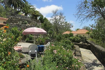 Casa Palmera B