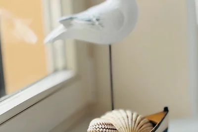 Wohnung Haus Emanuel