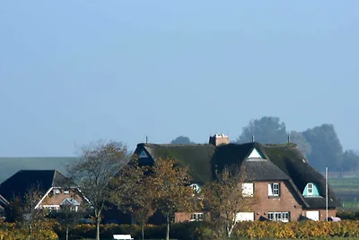 Haus Deichgraf / Reinhard Mathieu