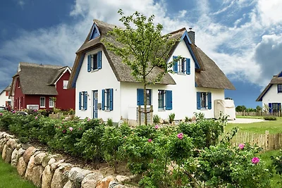 Vakantiehuis Ontspannende vakantie Zierow