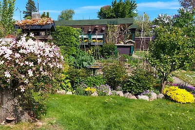 Ferienwohnung Gänseblümchen