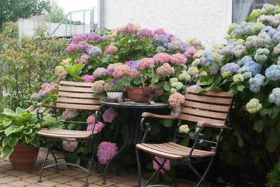Vakantieappartement Gezinsvakantie Neckarsulm