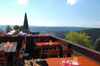 Albergo Cultura ed escursioni Klingenthal