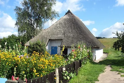 Appartamento Vacanza con famiglia Thiessow