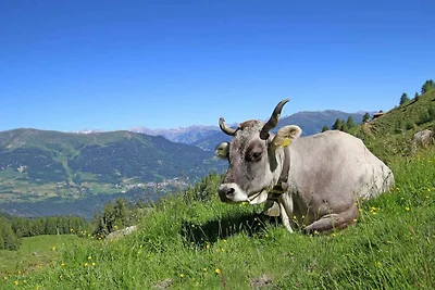 Vakantieappartement Gezinsvakantie Landeck
