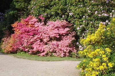 Appartamento Vacanza con famiglia Graal-Müritz