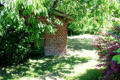 Ferienwohnung Seepferdchenhöhle