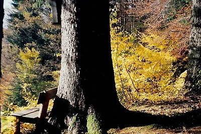 Domek letniskowy Urlop wypoczynkowy Mondsee