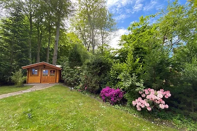 Appartamento Vacanza con famiglia Graal-Müritz