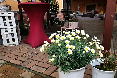 Pension Romantische vakantie Senftenberg