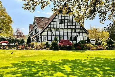 Albergo Cultura ed escursioni Tecklenburg