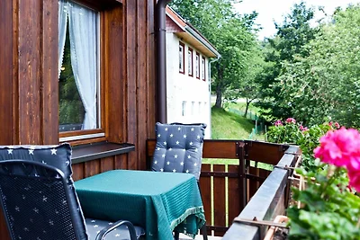 Appartamento Vacanza con famiglia Todtnau