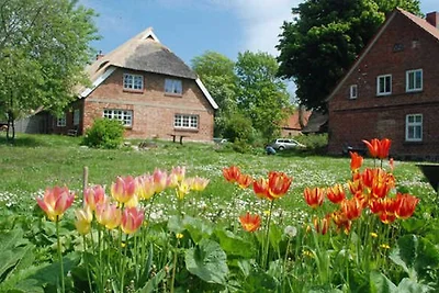 grosse Ferienwohnung mit Gartenblick und Terr...