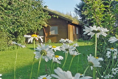 Ferienhaus Hof Dammhahl