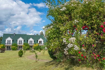 Fewo Deichwiesen 06-1 SZ bis max. 2 Pers.