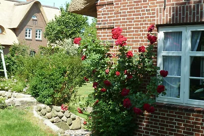 Goting-Sonne
