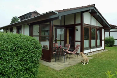 Albergo Cultura ed escursioni Bad Dürrheim