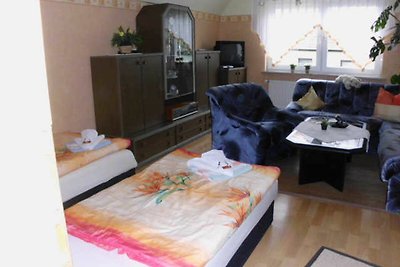 Vakantieappartement Gezinsvakantie Sangerhausen