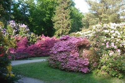 Albergo Cultura ed escursioni Graal-Müritz