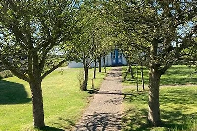 Vakantiehuis Ontspannende vakantie Nieblum
