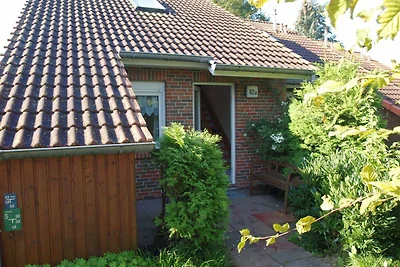 Albergo Cultura ed escursioni Ostseebad Boltenhagen