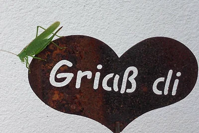 Ferienwohnung für 2-4 Personen 1