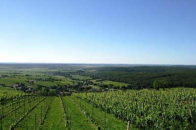 Vakantieappartement Gezinsvakantie Burgenland