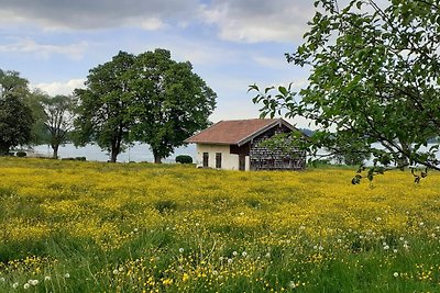 Vakantieappartement Gezinsvakantie Bad Wiessee