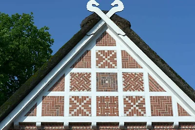 Einzelzimmer Standard