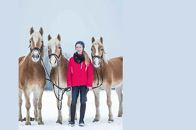 Appartement 8b Reitanlage