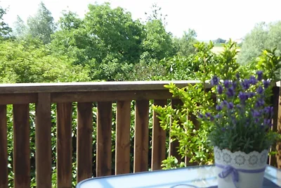 Vakantieappartement Gezinsvakantie Schieder-Schwalenberg