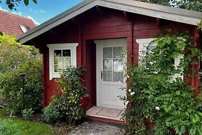 Ferienwohnung - Gäste