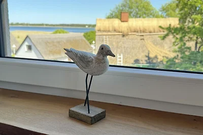 Vakantieappartement Gezinsvakantie Thiessow