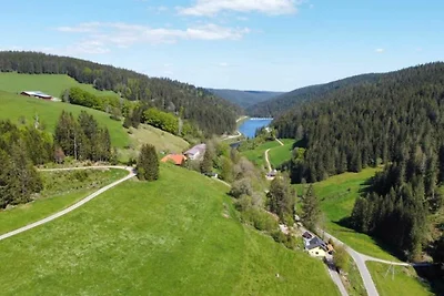 hotel Kultura & obilasci Furtwangen